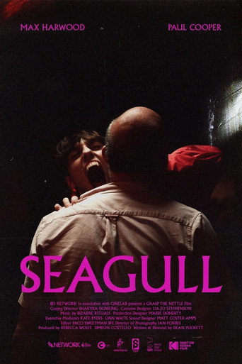 Seagull poster