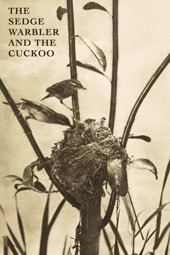 Movie poster for The Sedge Warbler and the Cuckoo (1911)