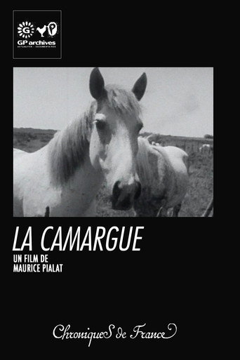 Movie poster for La Camargue (1966)
