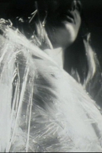 Movie poster for Hymen (2002)