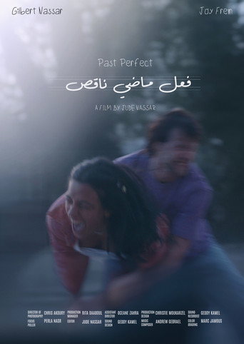 Movie poster for Past Perfect (2024)