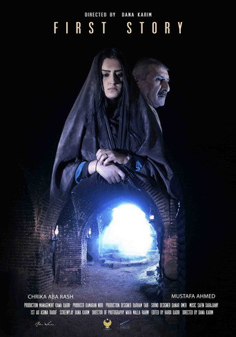 Movie poster for First Story (2014)