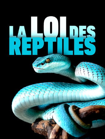 Movie poster for The Law of Reptiles (2017)