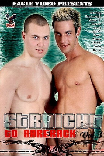 Movie poster for Straight to Bareback 3 (2006)