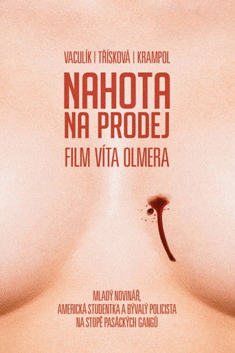 Nudity For Sale poster