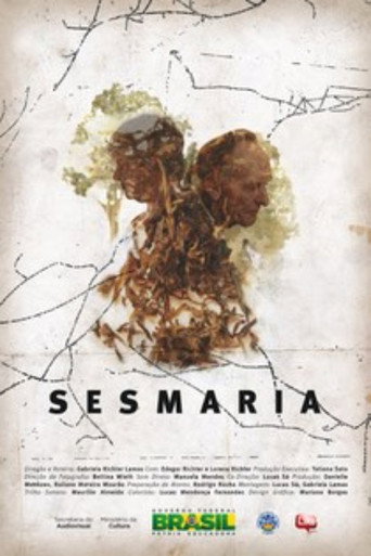 Movie poster for Sesmaria (2015)