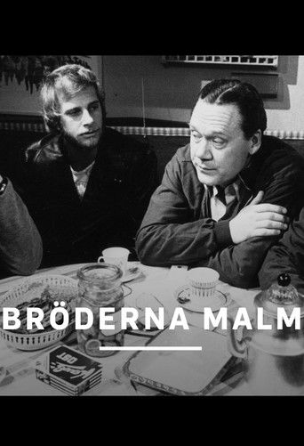Bröderna Malm poster
