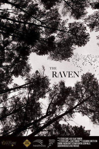 Movie poster for The Raven (2020)