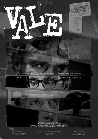 Movie poster for Vale