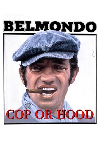 Cop or Hood poster