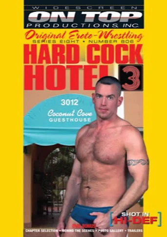 Movie poster for Hard Cock Hotel 3 (2008)