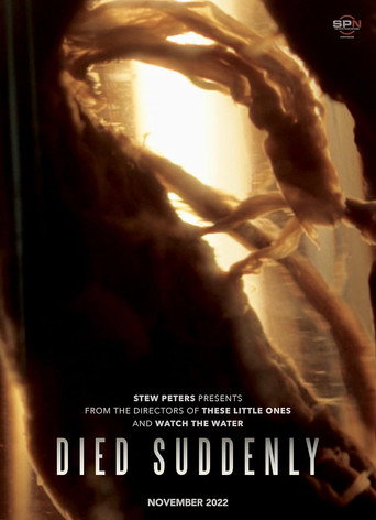 Movie poster for Died Suddenly