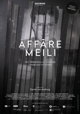 Movie poster for Die Affäre Meili
