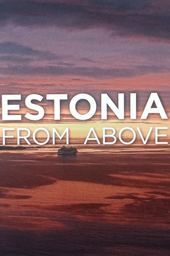 Movie poster for Estonia from above (2023)