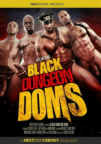 Movie poster for Black Dungeon Doms (2016)