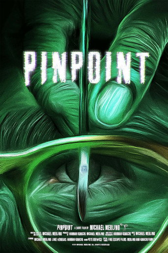 Movie poster for PINPOINT (2025)