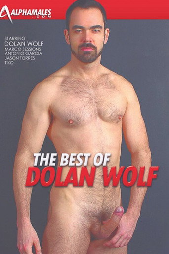 Movie poster for The Best of Dolan Wolf (2013)
