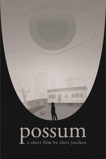 Movie poster for Possum