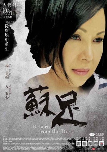 Series poster for 苏足 (2016)