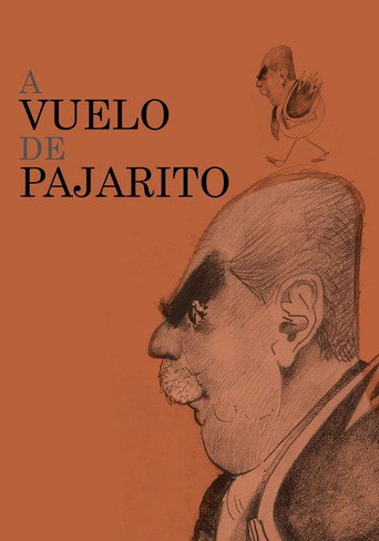 Movie poster for A vuelo de pajarito (2014)