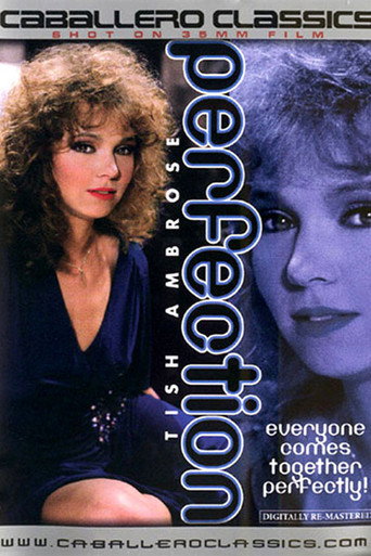 Movie poster for Perfection (1985)