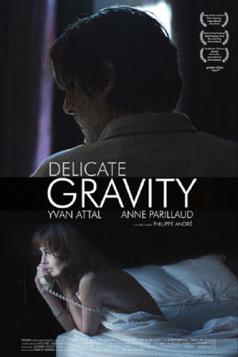 Délicate gravité poster