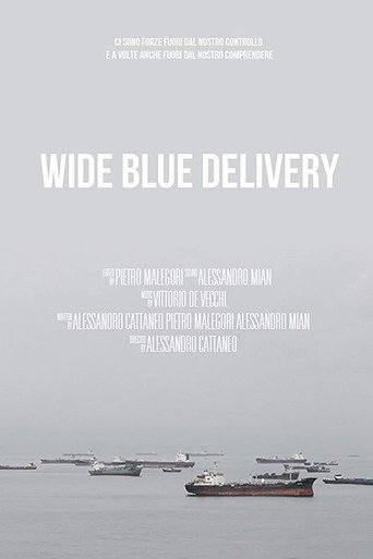 Movie poster for Wide Blue Delivery (2015)