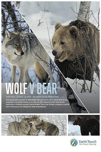 Movie poster for Wolf vs Bear (2019)