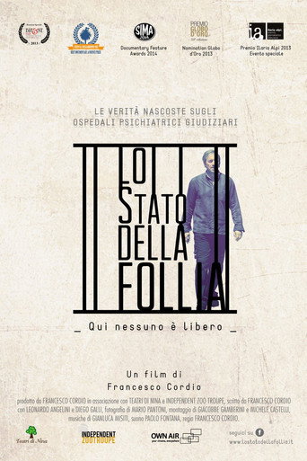 Movie poster for Lo stato della follia (2014)
