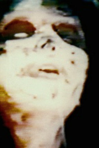Movie poster for The Shifters (1991)
