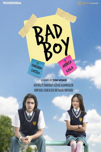 Bad Boy poster