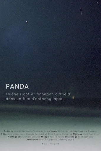 Movie poster for Panda (2014)