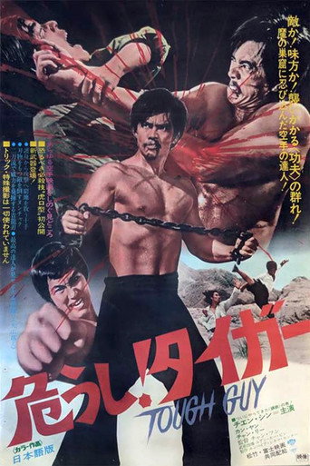 Movie poster for Revenge of the Dragon (1972)