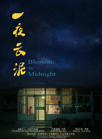 Movie poster for Blossom in Midnight (2015)