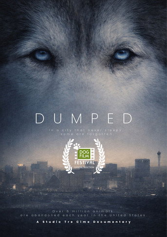 Movie poster for Dumped