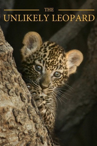 Movie poster for The Unlikely Leopard (2012)