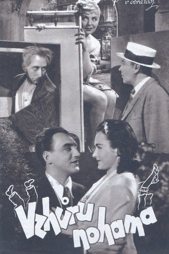 Vzhůru nohama poster