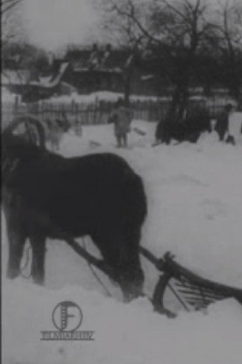 Movie poster for The Great Blizzard in the Baltics in December (1913)