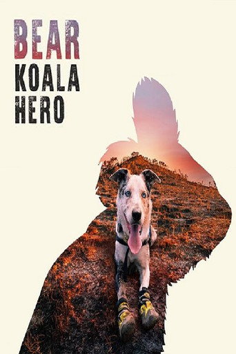 Movie poster for Bear: Koala Hero (2020)