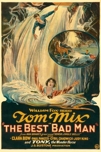 Movie poster for The Best Bad Man (1925)