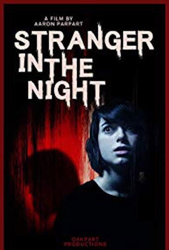 Movie poster for Stranger in the Night (2019)
