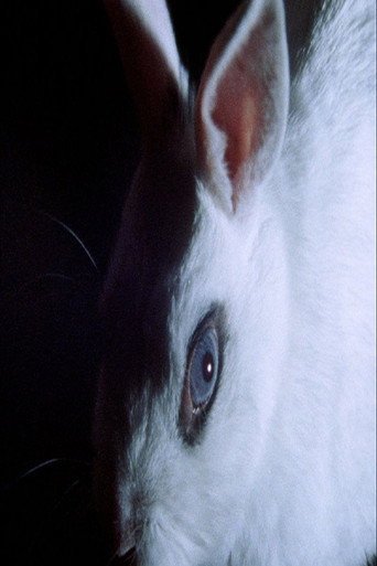 Movie poster for Cheshire Smile (2012)