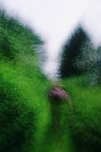 Movie poster for Brouillard #16 (2014)