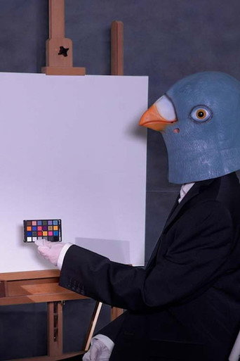Movie poster for Birdsaver Report Volume 2 (2021)
