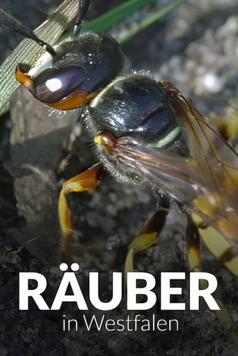 Movie poster for Räuber in Westfalen - Neues Leben in Panzerspuren (2020)