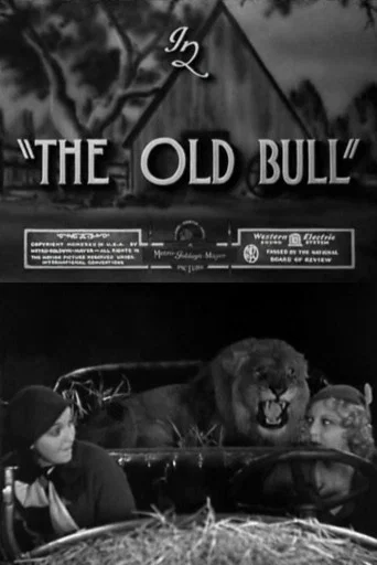Movie poster for The Old Bull (1932)