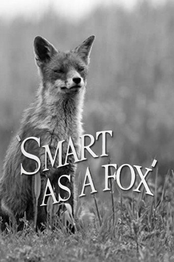 Movie poster for Smart as a Fox (1946)