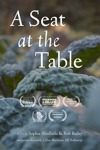 Movie poster for A Seat at the Table