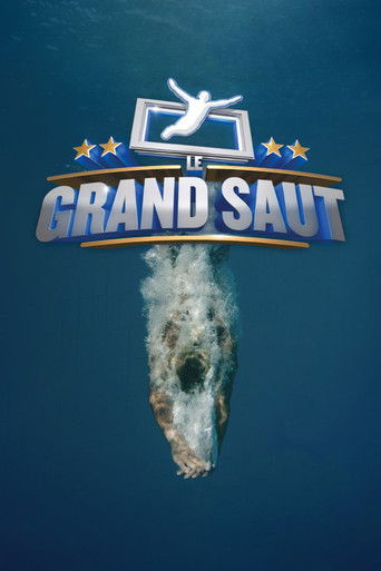 Le grand saut poster