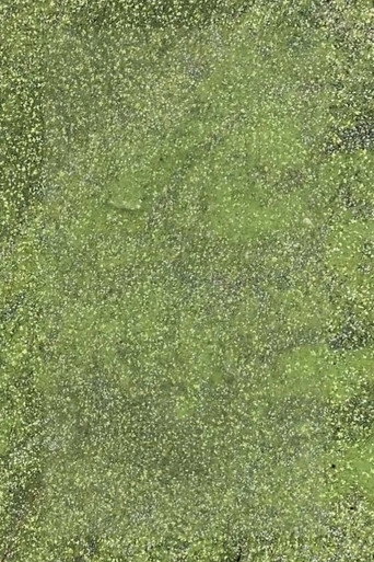 Movie poster for Duckweed (2021)